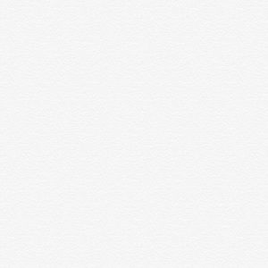 Meet your Posher, Wilson